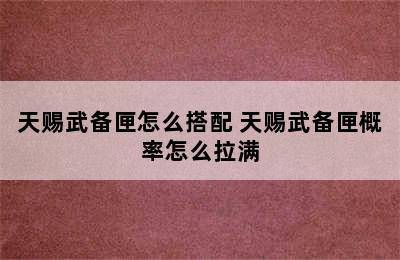 天赐武备匣怎么搭配 天赐武备匣概率怎么拉满